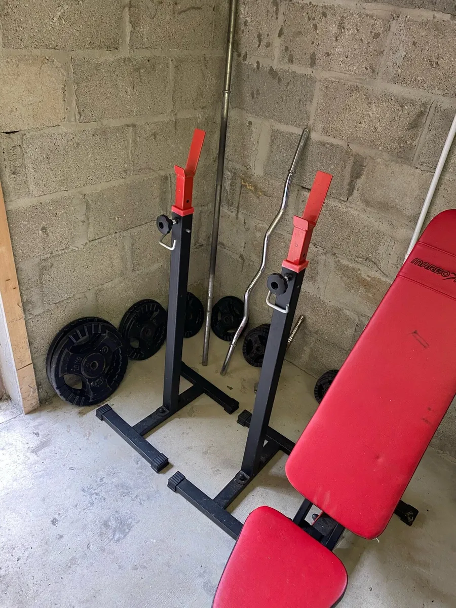 Weights - Image 4
