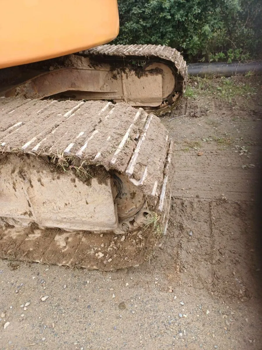 Case 225 - Image 2