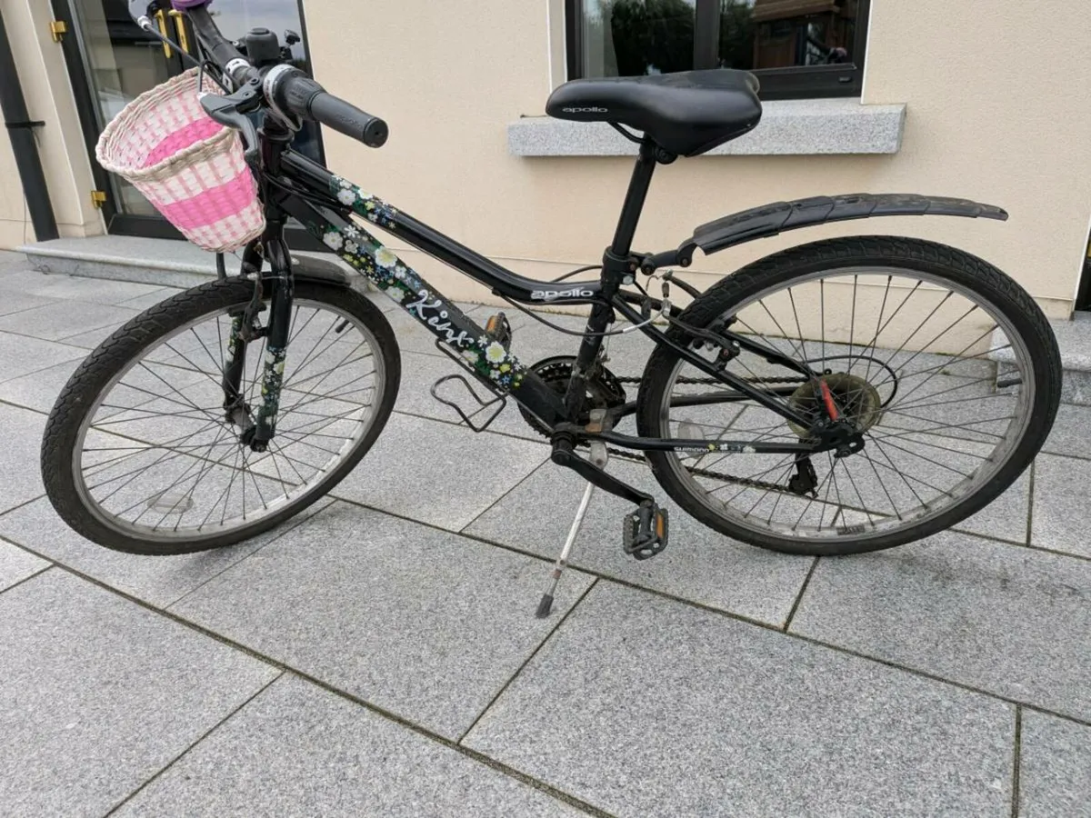 Bicycle - Image 1