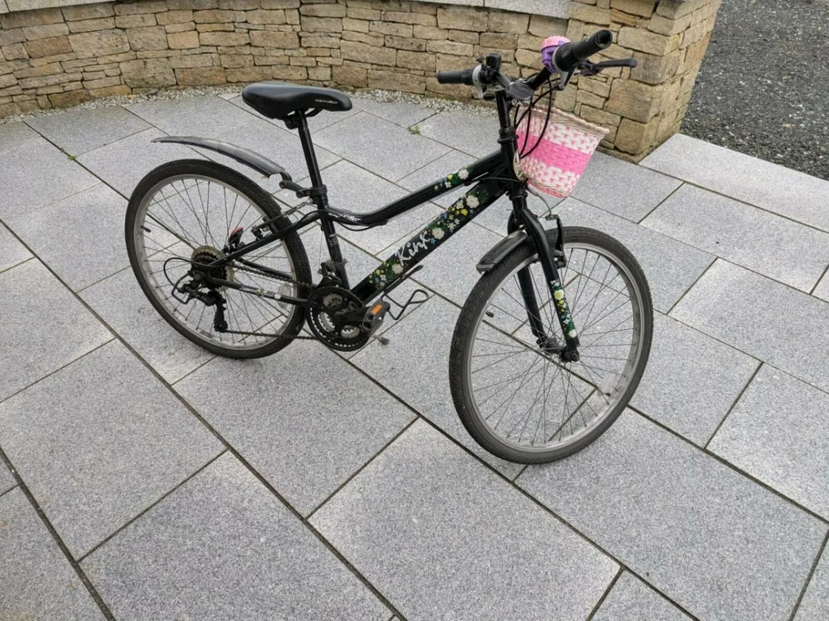Bicycle - Image 2