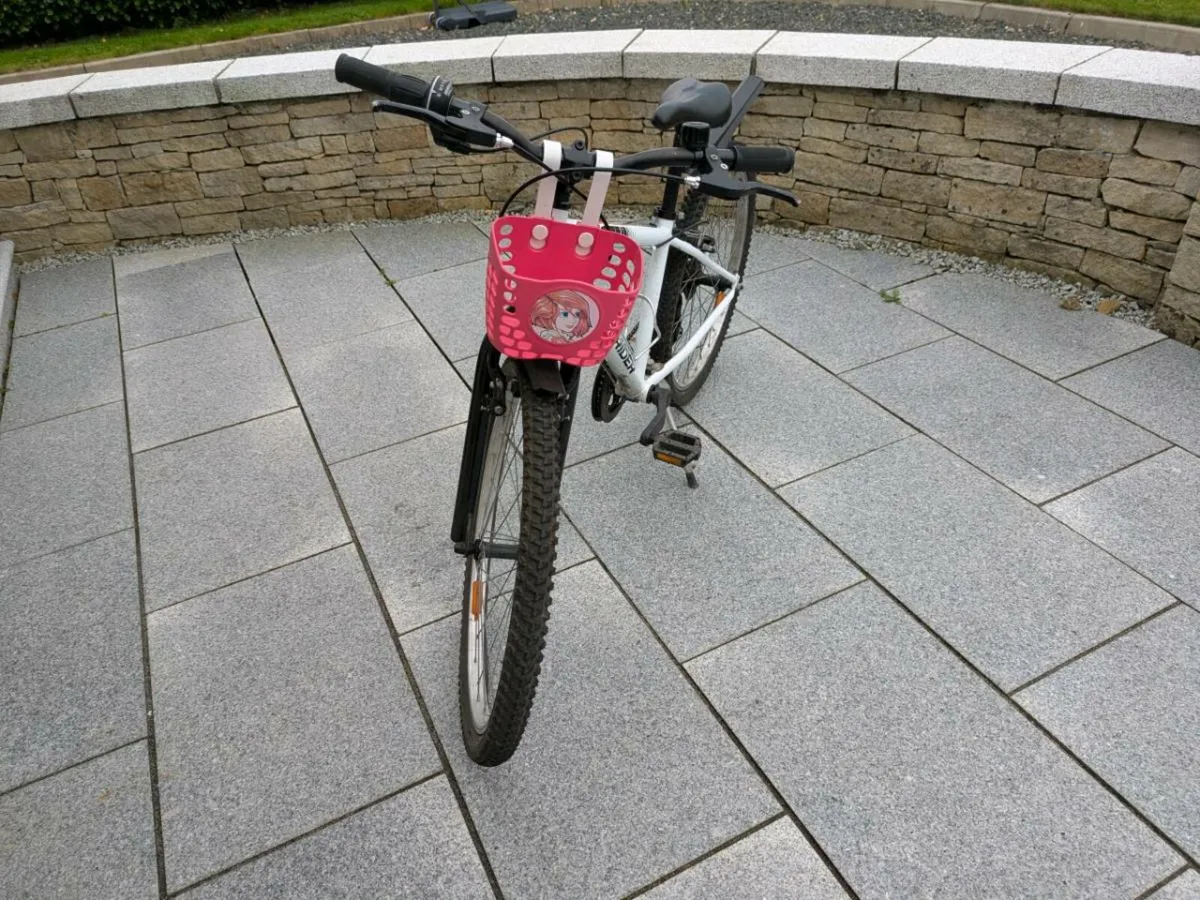 Bicycle - Image 1