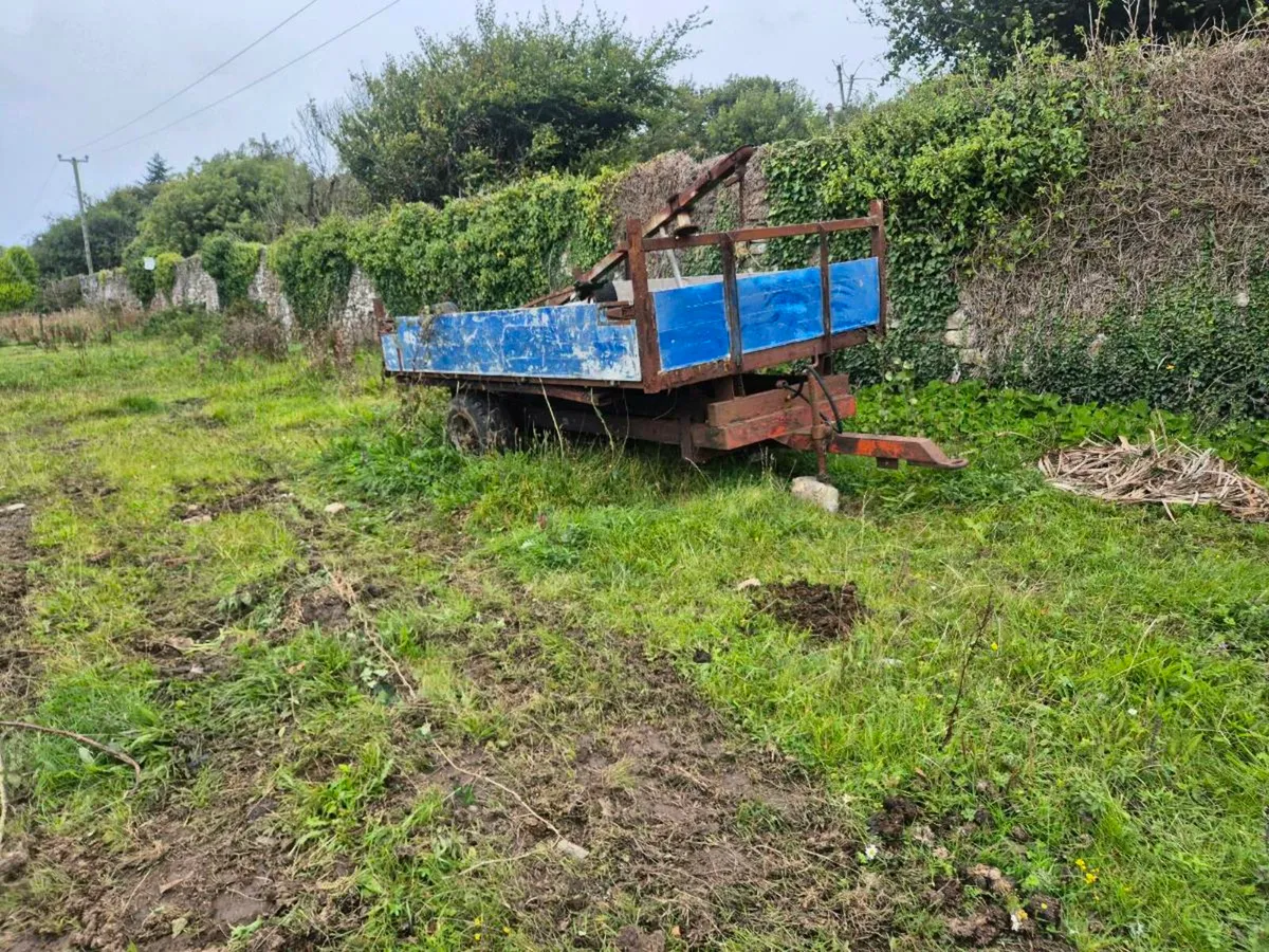 Tipping trailer - Image 2