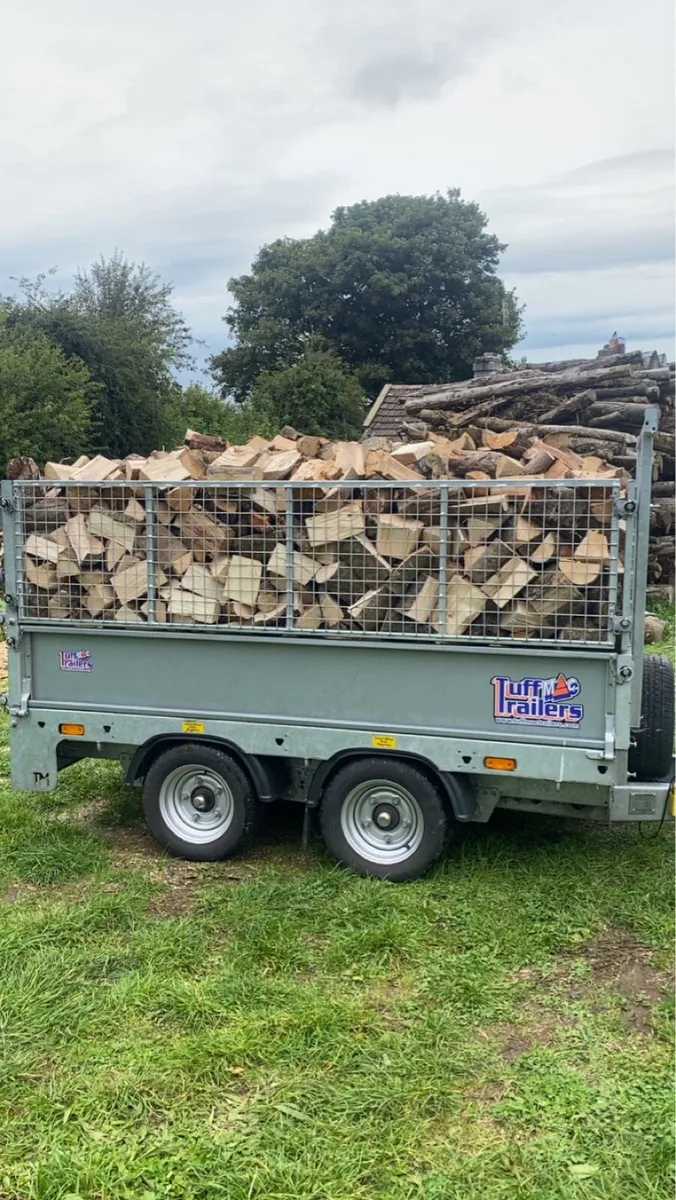 Firewood - Image 1