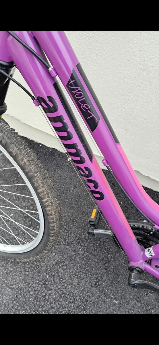 Bike - Image 2