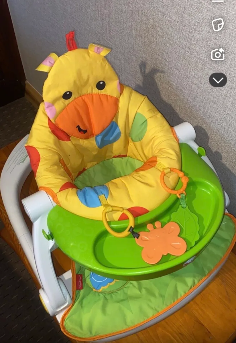 Baby Feeding/Play Seat - Image 1
