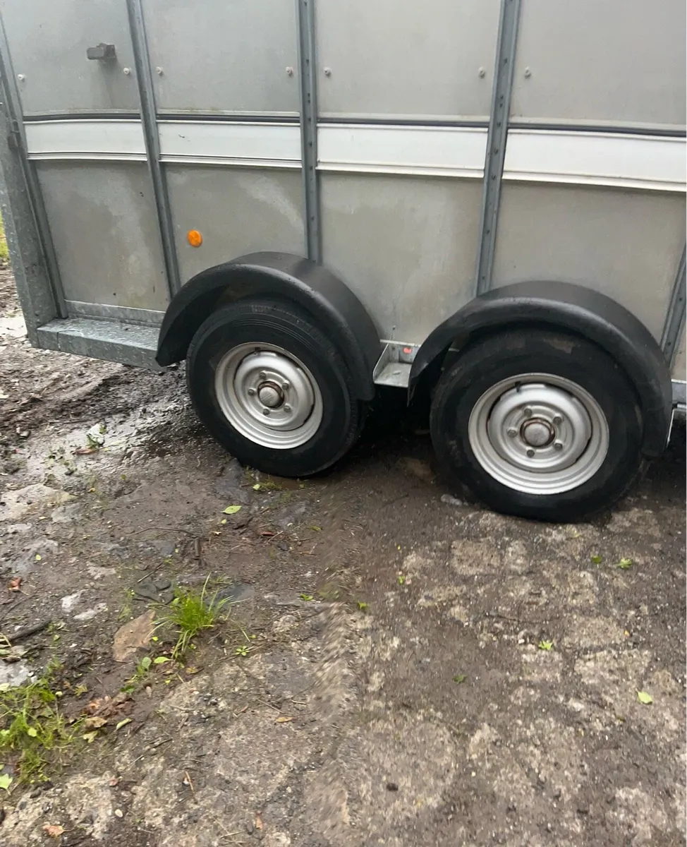 Cattle Trailer - Image 2