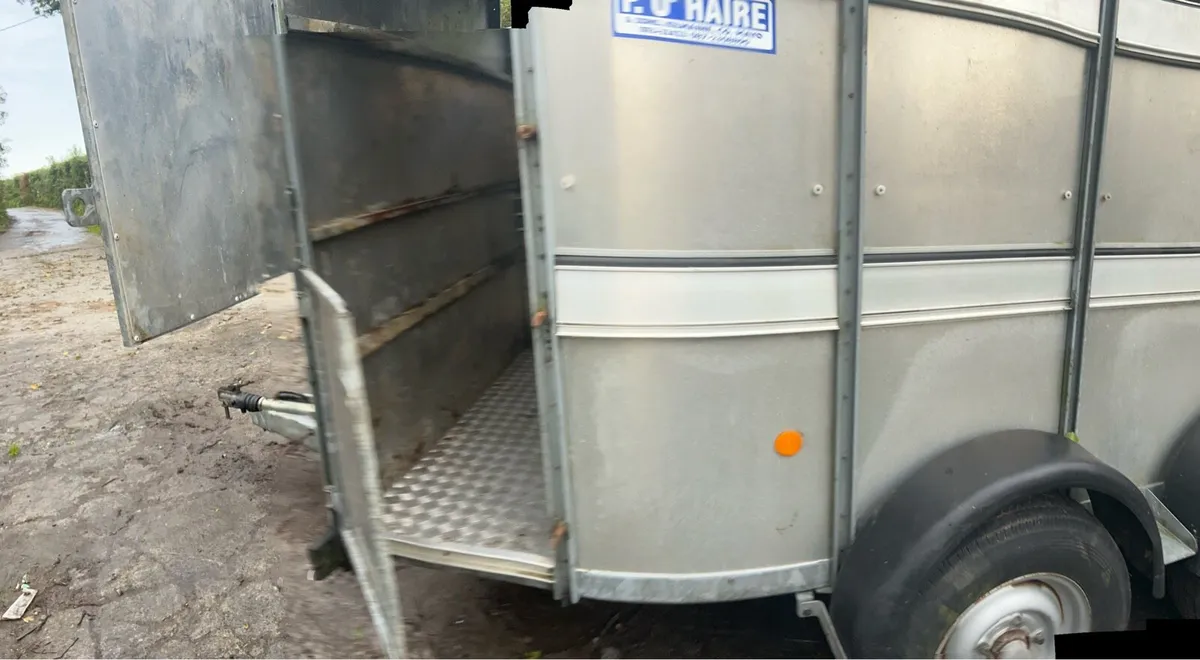 Cattle Trailer - Image 3