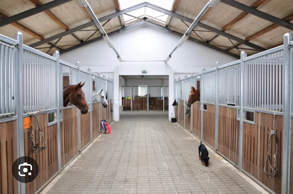 Wanted Stables & gallop to Rent