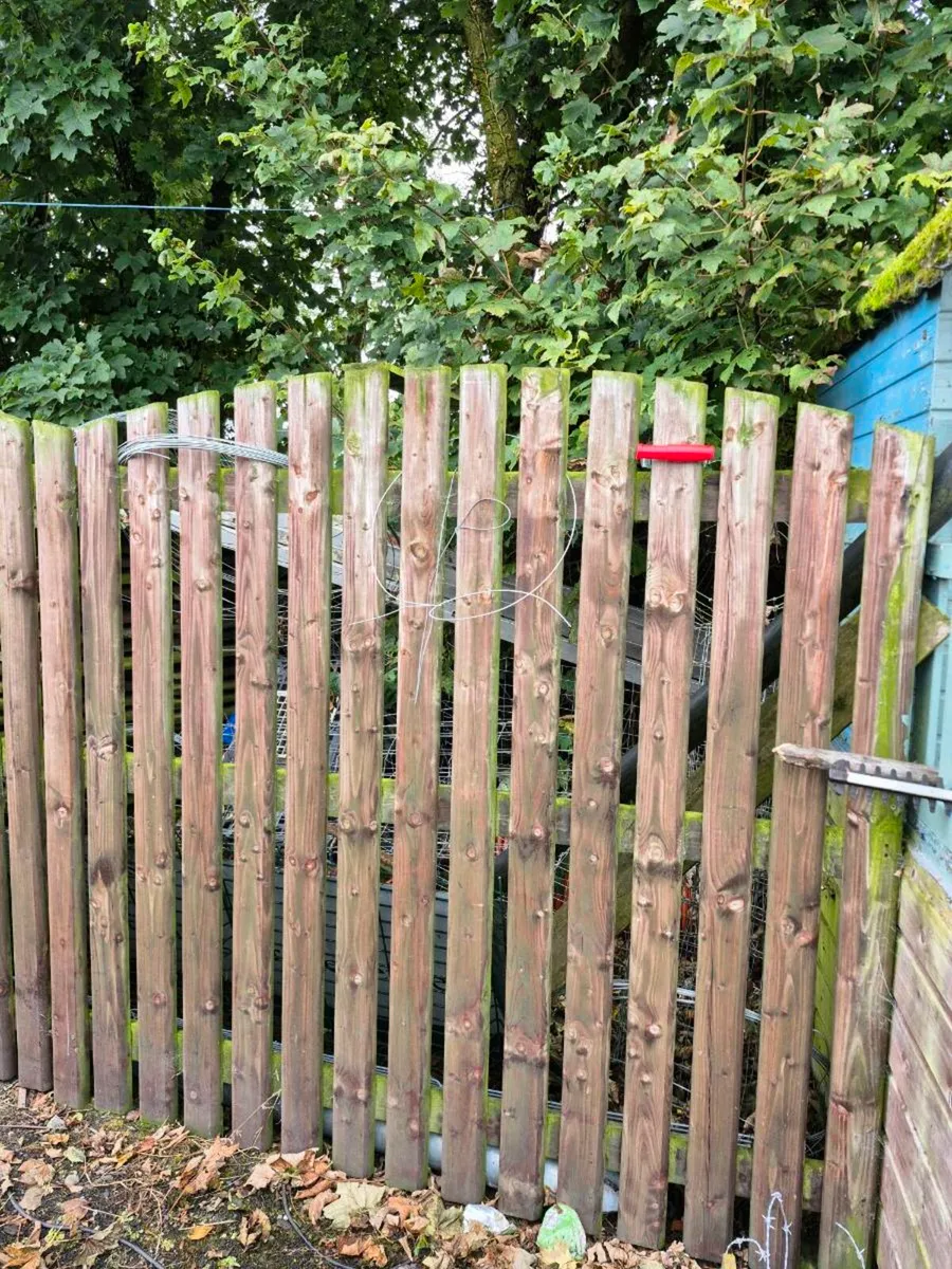 Fence fanel - Image 2