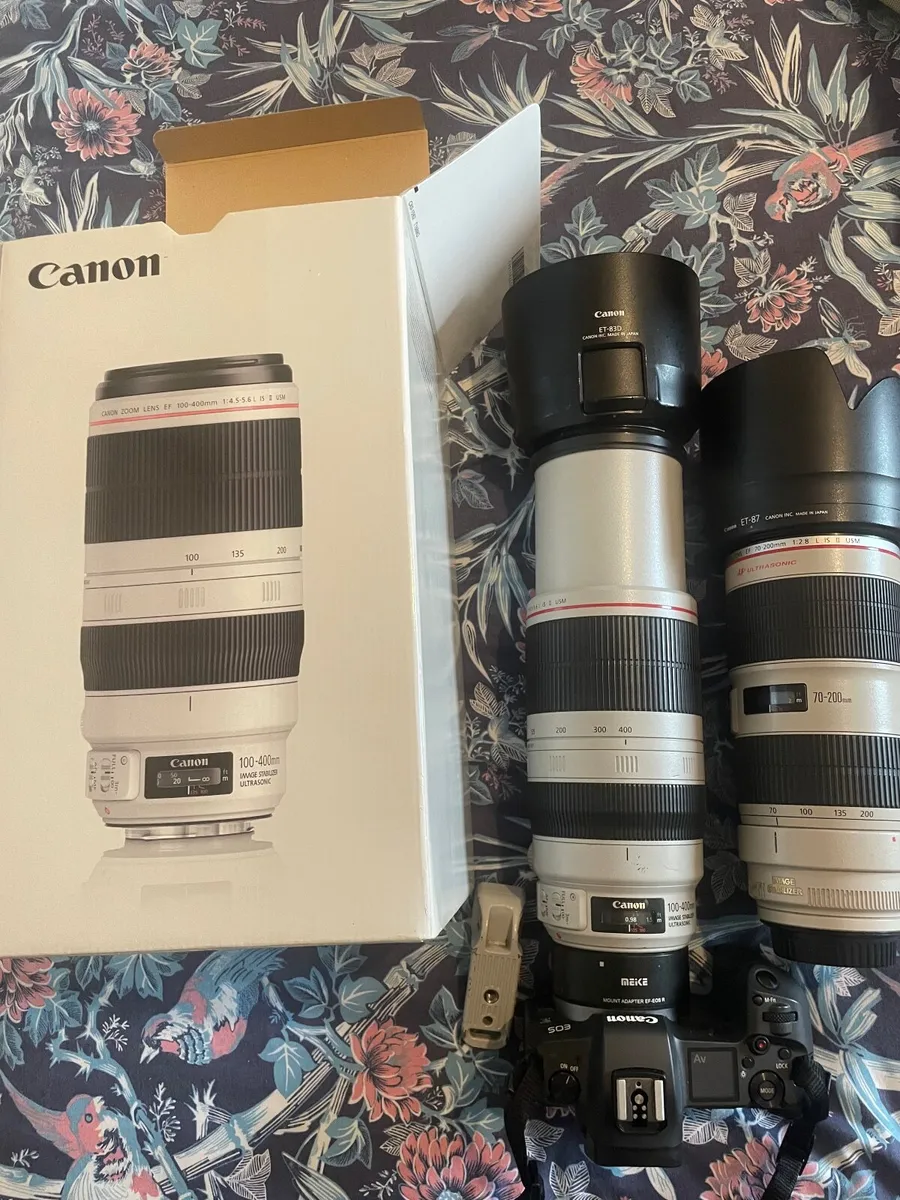 100-400 L IS II USM Canon - Image 1