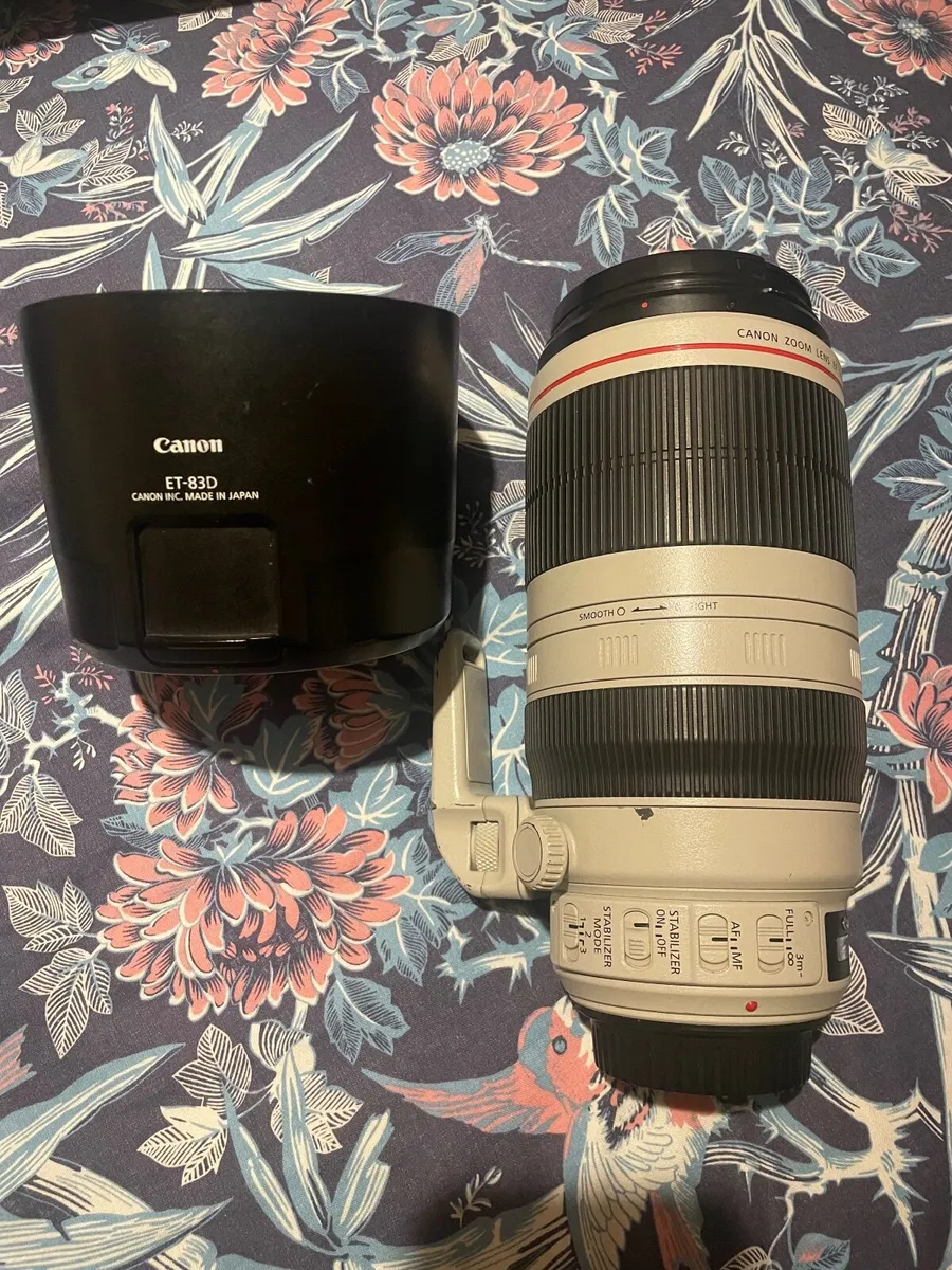 100-400 L IS II USM Canon - Image 4
