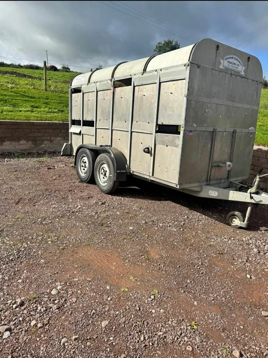 12 ft trailer Graham Edwards Cattle trailer - Image 1