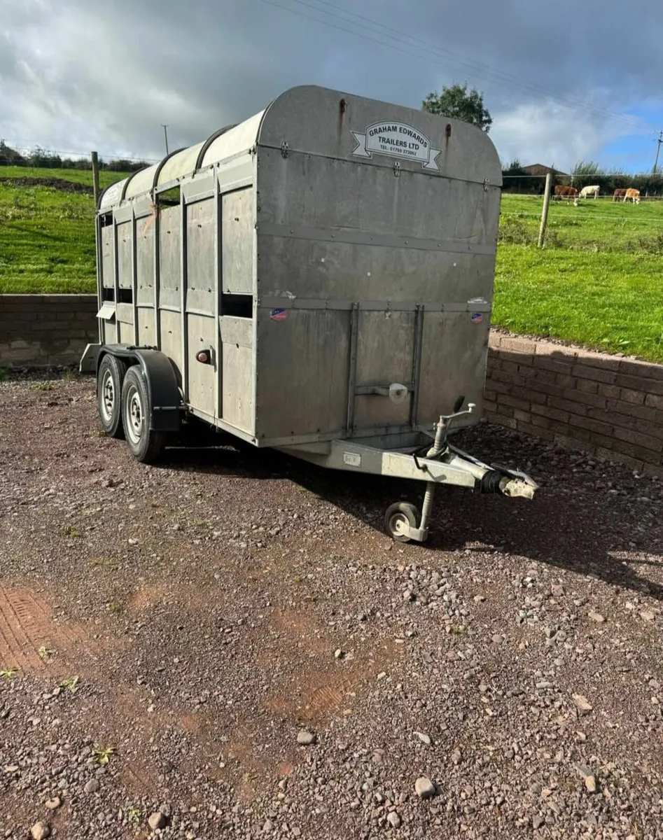 12 ft trailer Graham Edwards Cattle trailer - Image 3