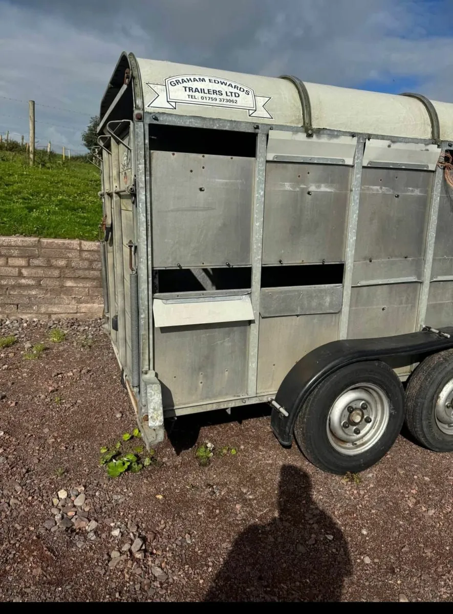 12 ft trailer Graham Edwards Cattle trailer - Image 4