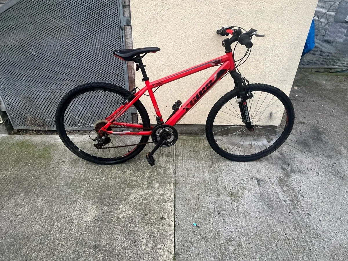 Kids Mountain Bike Siutable for boy/girl aged 9yr - Image 1