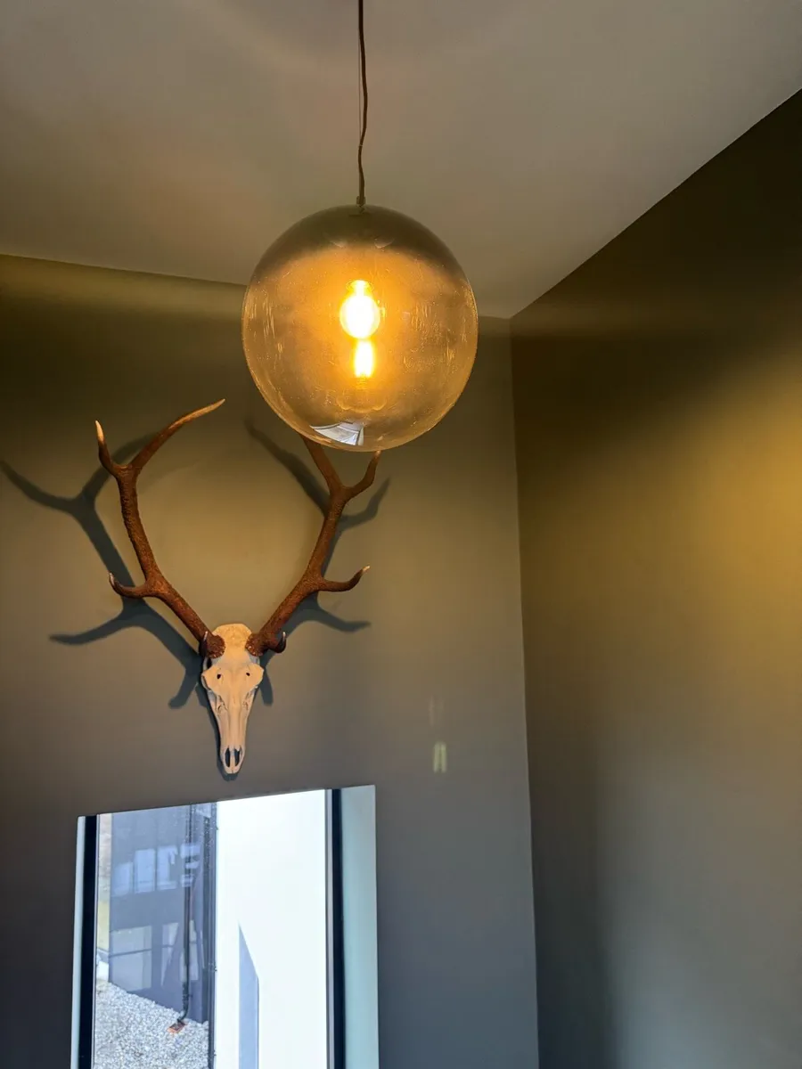 Globe ceiling light fitting - Image 2