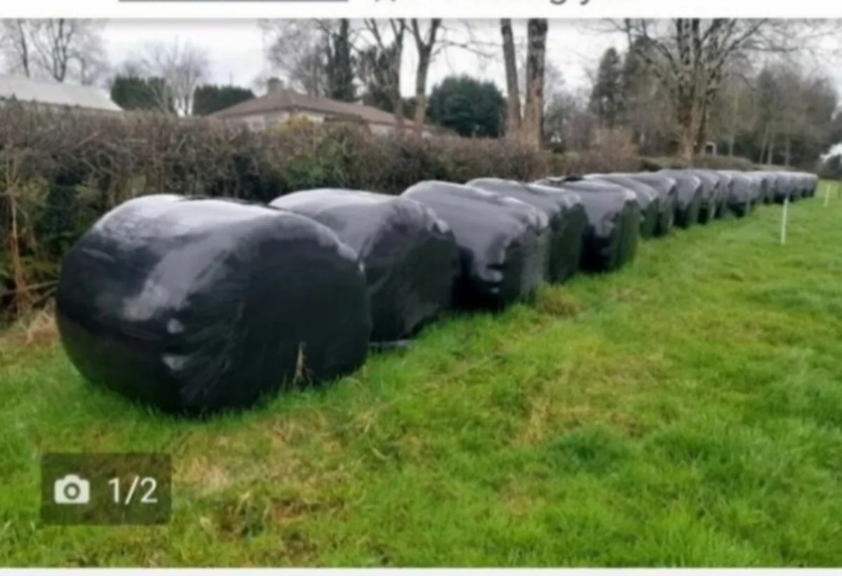 Bales of silage