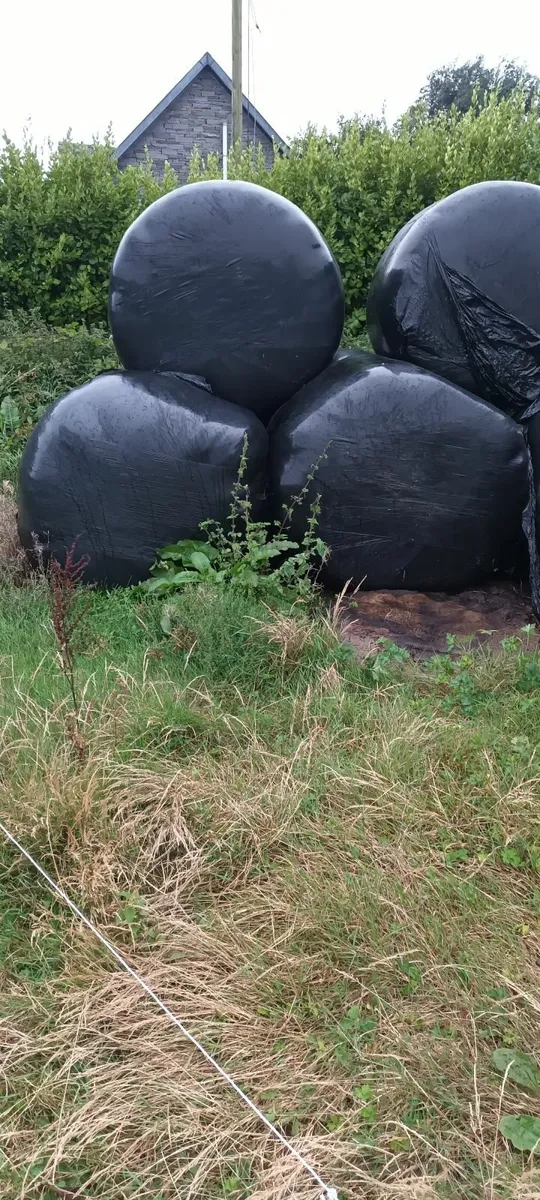 Silage and haylage bales