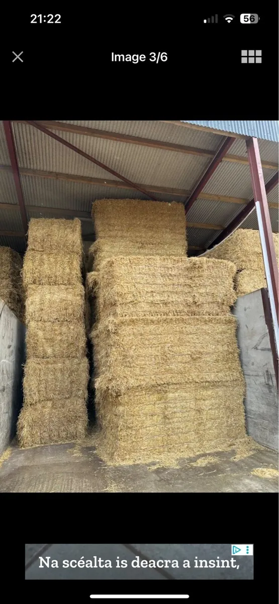 Round & square bales - Image 2