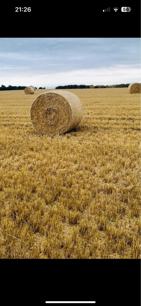 Round & square bales - Image 1