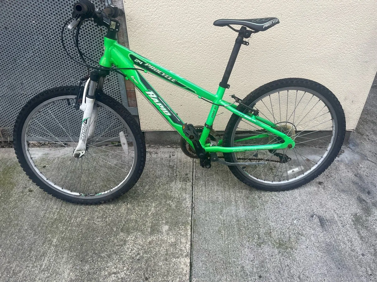 Kids Mountain Bike - Image 1