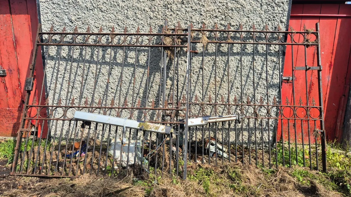 Electric Gates - Image 1