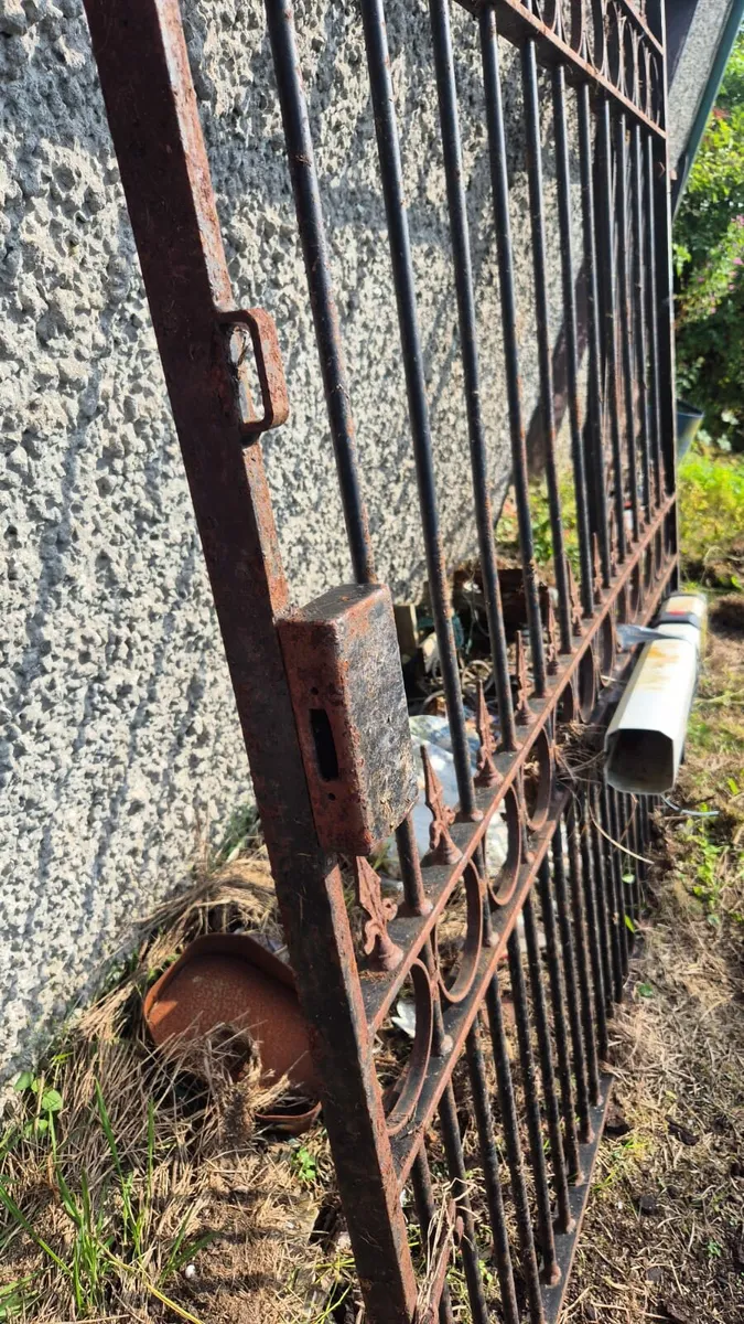 Electric Gates - Image 2