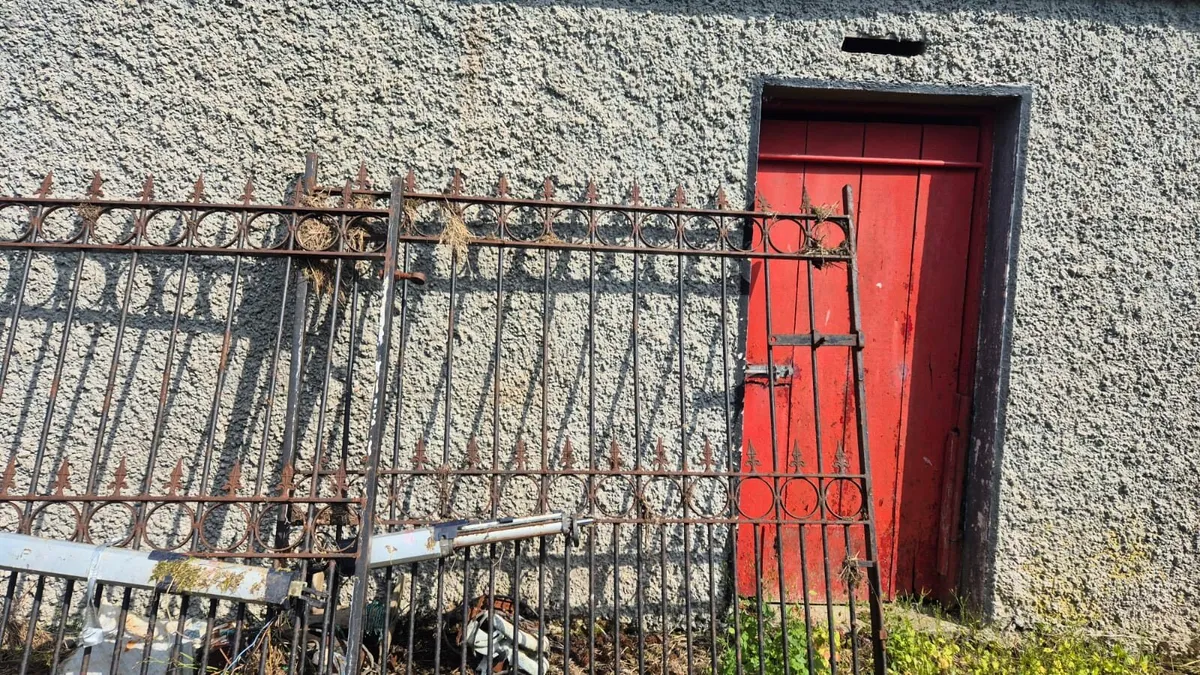 Electric Gates - Image 4