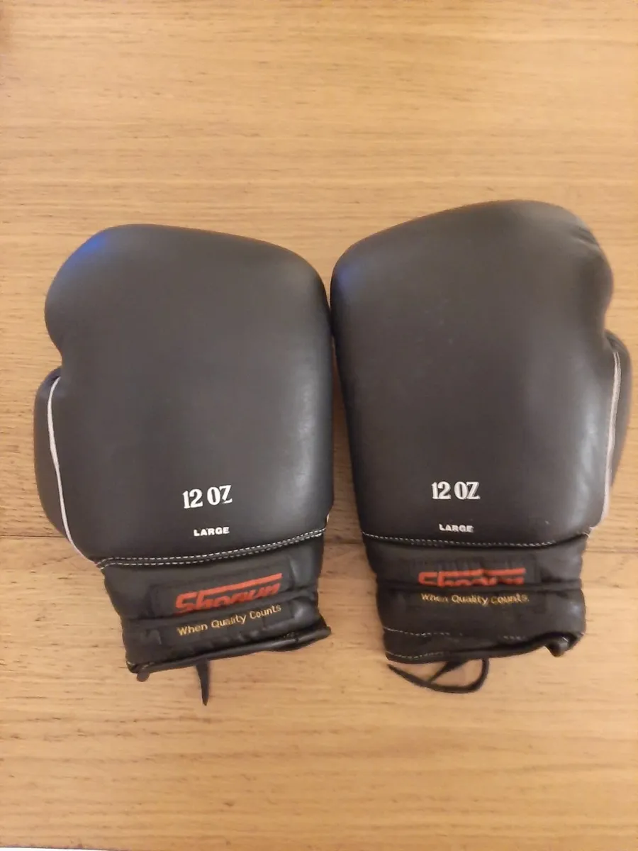 Boxing Gloves - Image 1