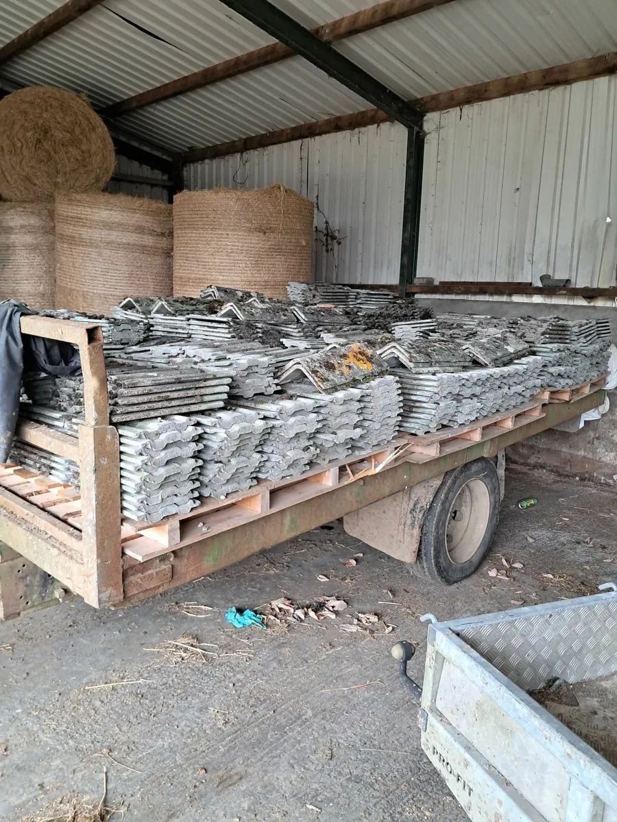 Roof Tiles - Image 1