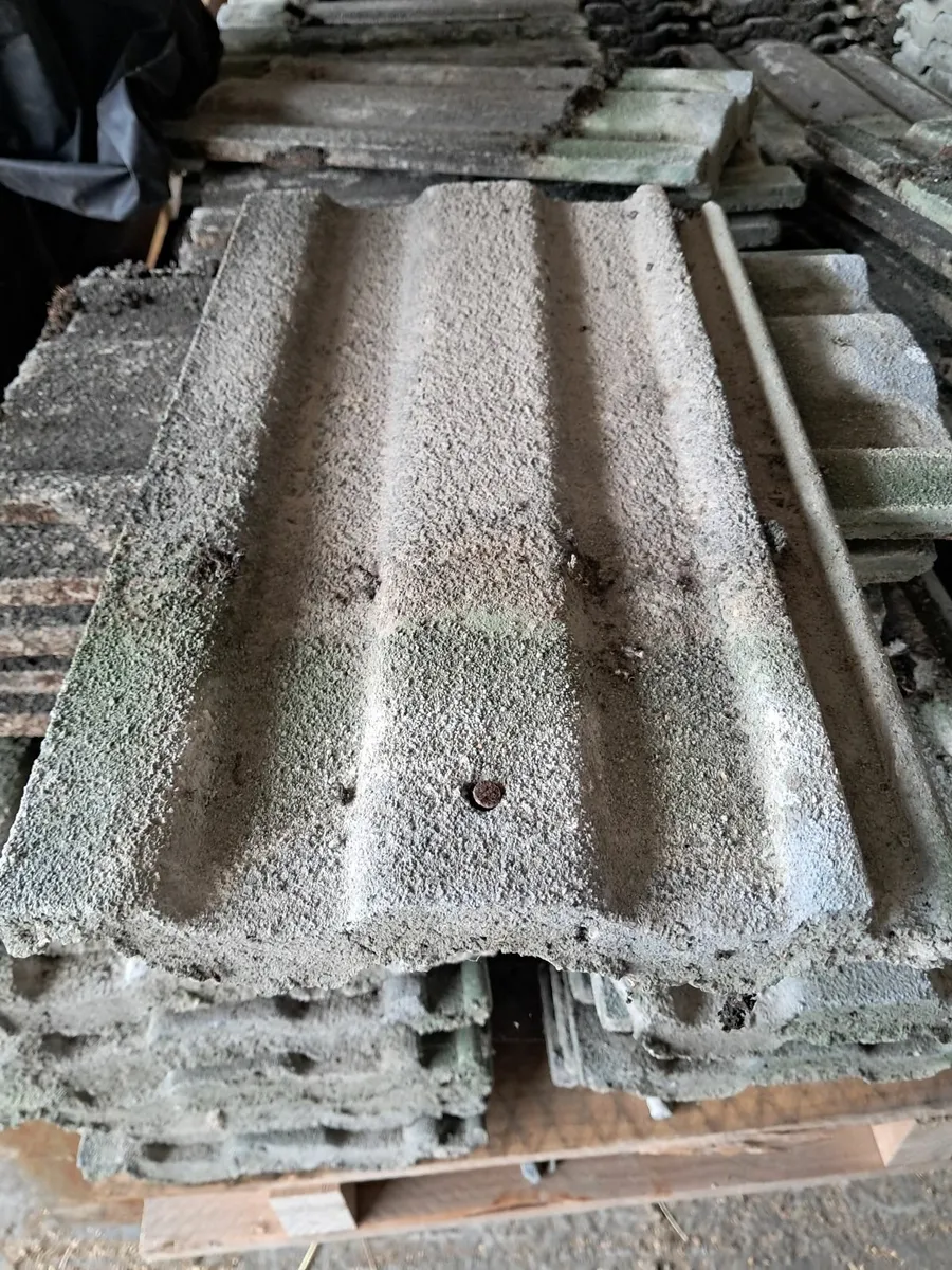 Roof Tiles - Image 3