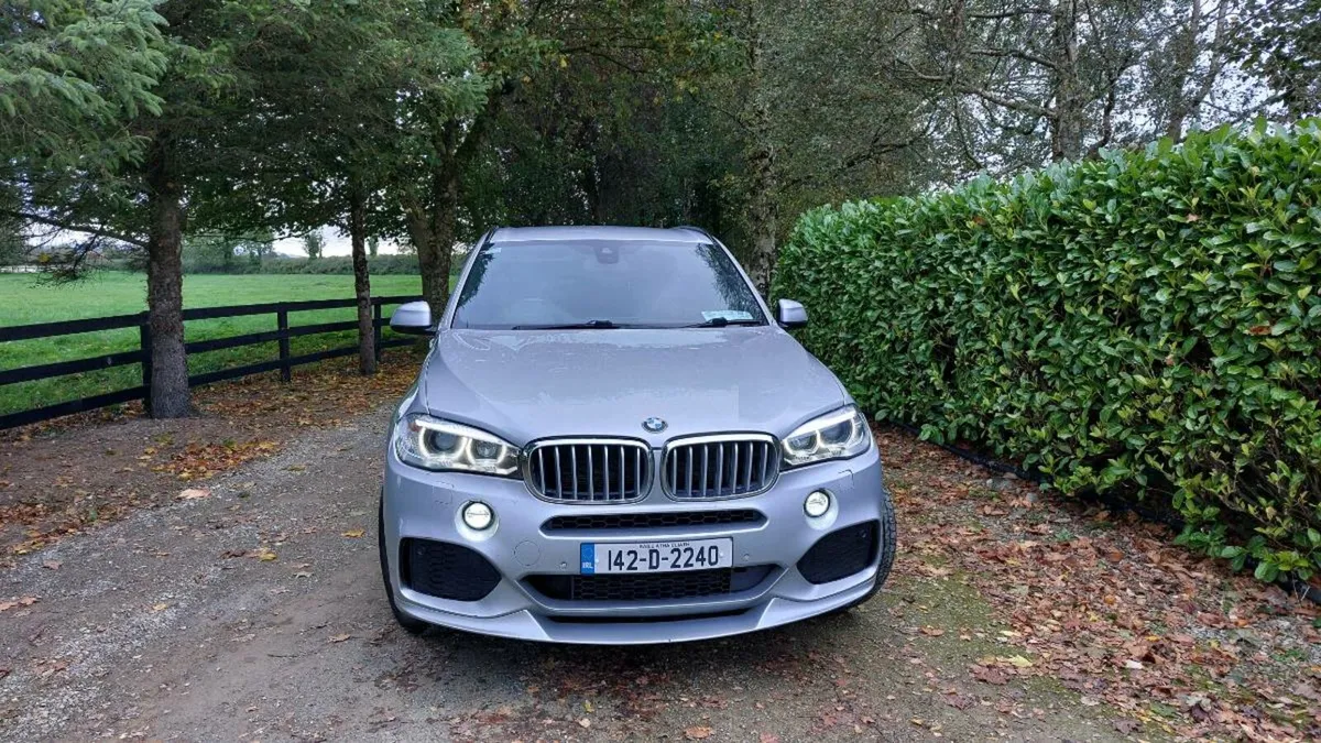 BMW X5 - Image 1