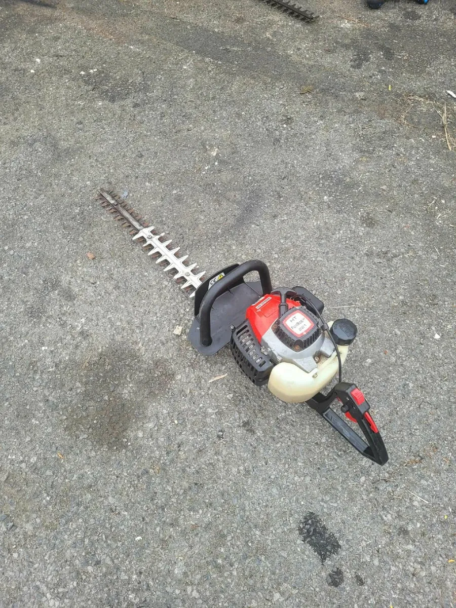 Ribin hedge strummers running very well - Image 1