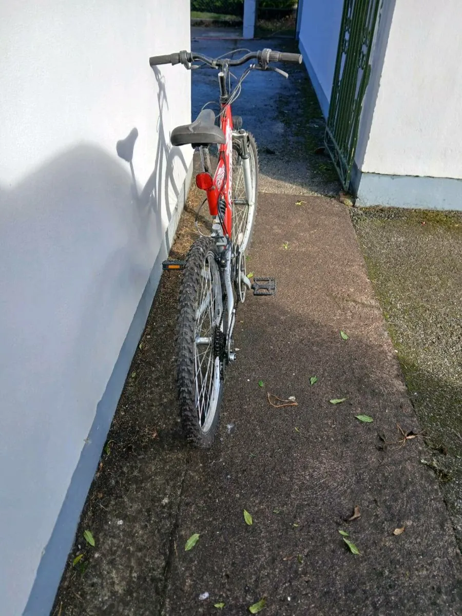 Ladies bike - Image 2