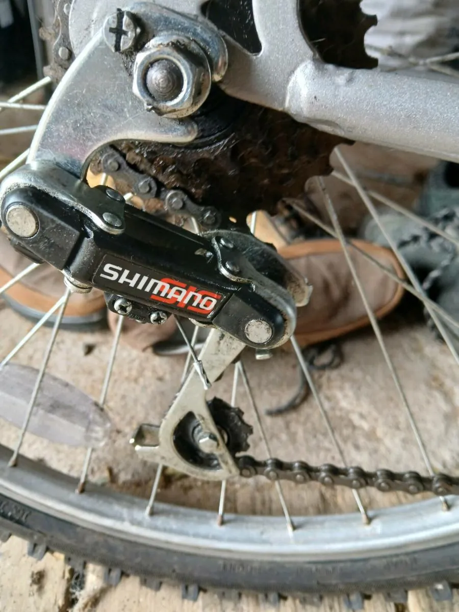 Ladies bike - Image 3