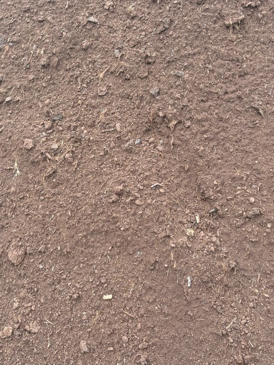 Peat bedding - Image 1