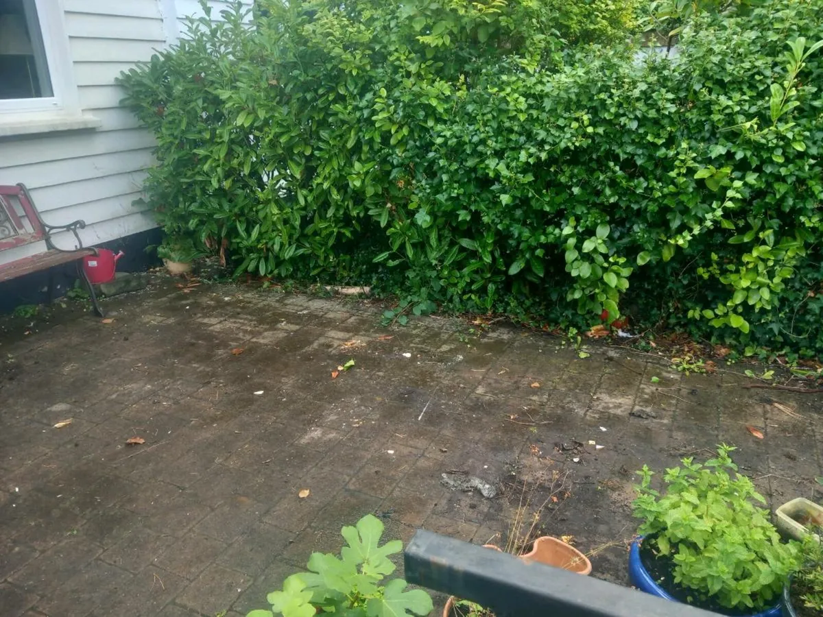 Rubbish removal - Image 3
