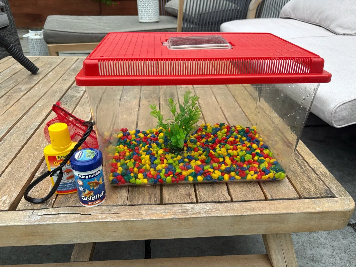 Fish tank