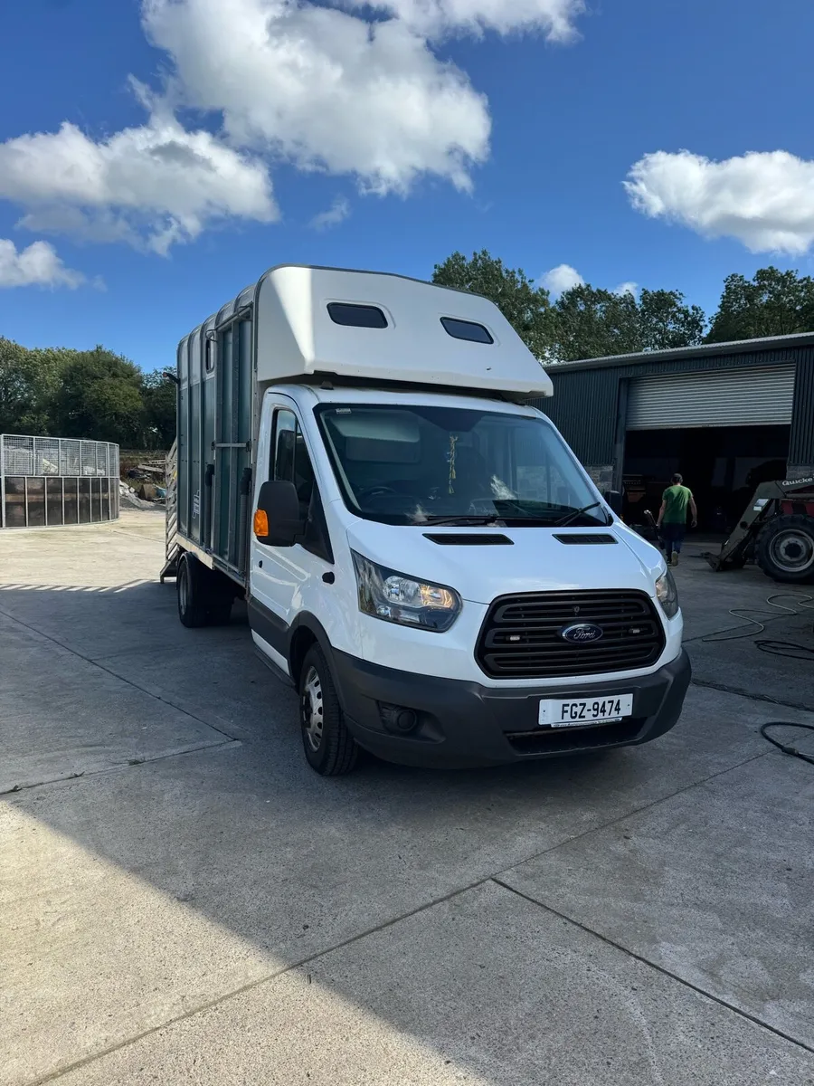 Ford transit horse box / livestock - Image 1