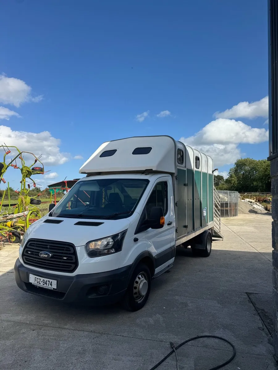 Ford transit horse box / livestock - Image 2