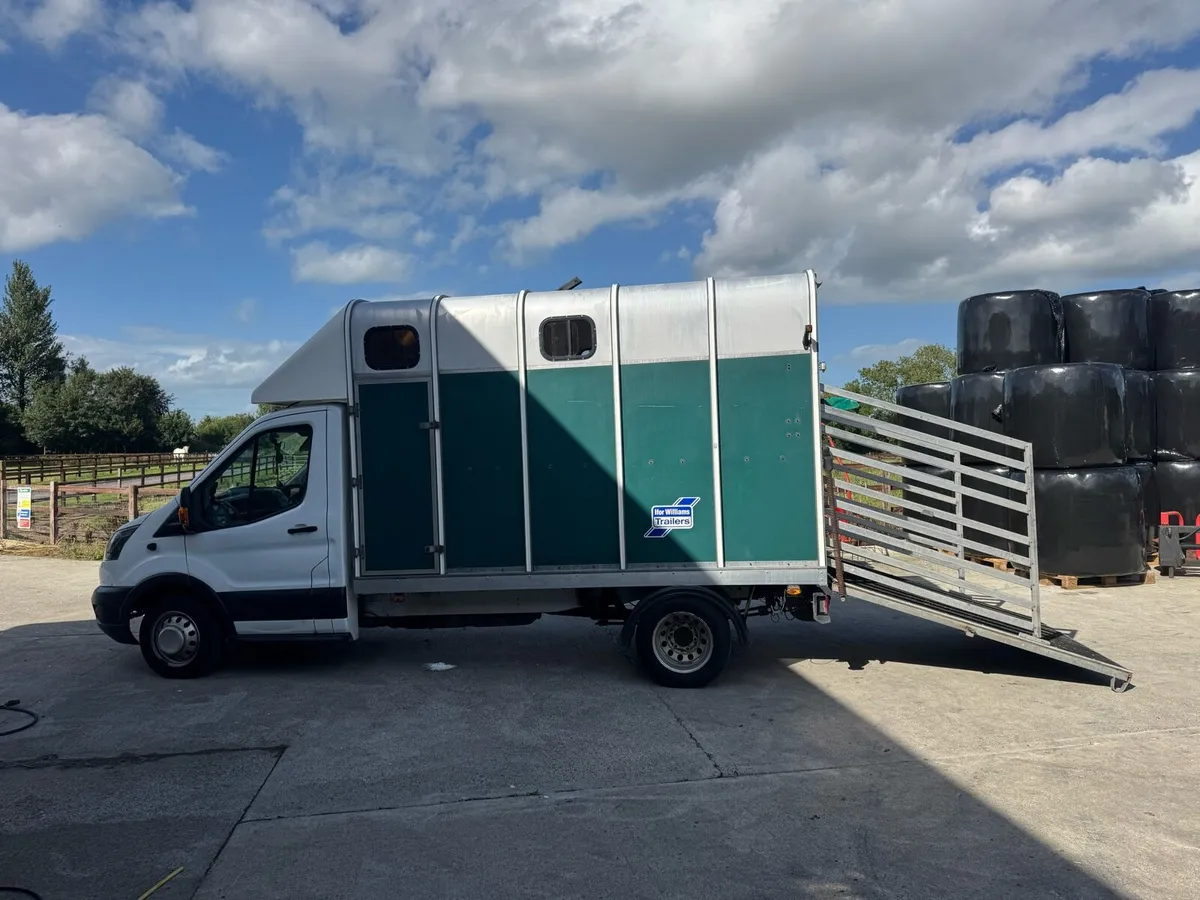 Ford transit horse box / livestock - Image 3