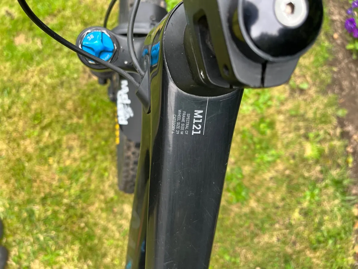 Canyon spectral cf 8 2021 mtb - Image 2