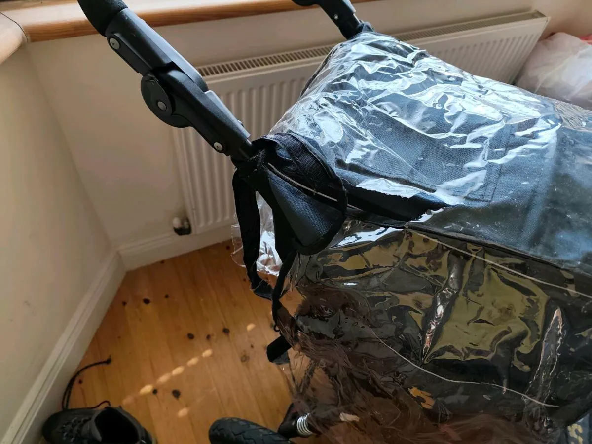 Buggy - Image 3