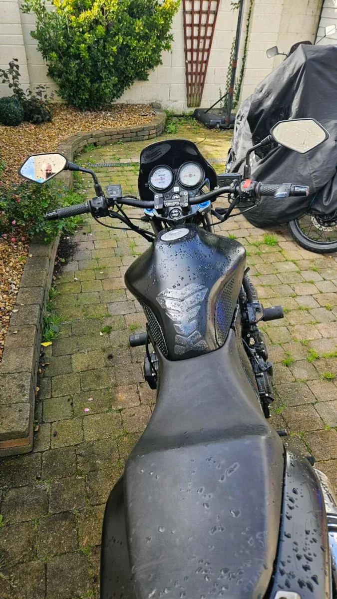 Honda hornet 600 - Image 4
