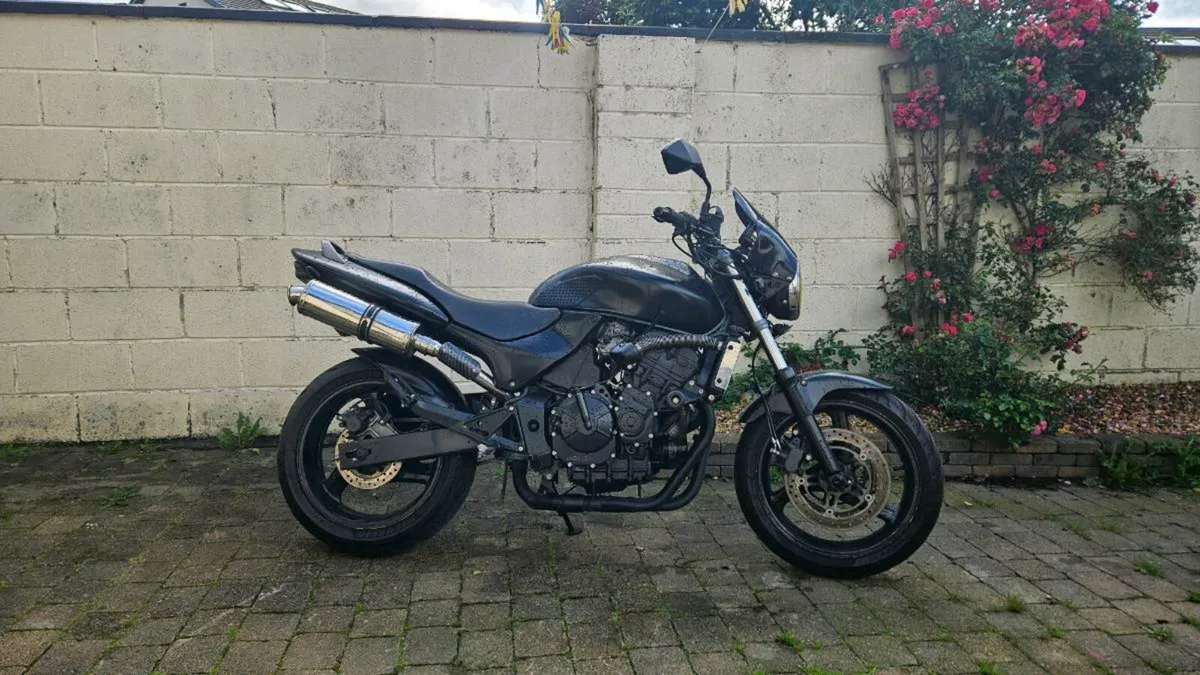 Honda hornet 600 - Image 2