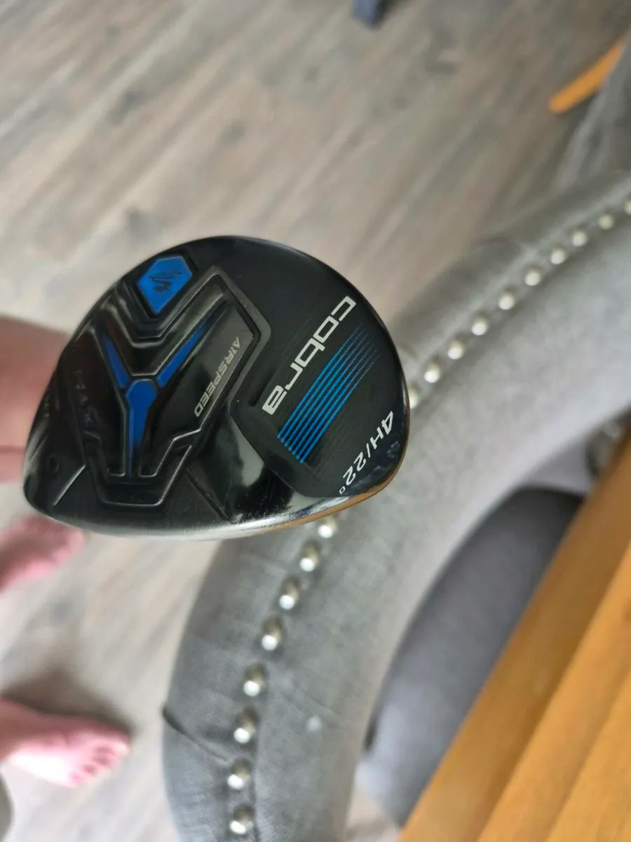 Cobra f max 4 hybrid - Image 3