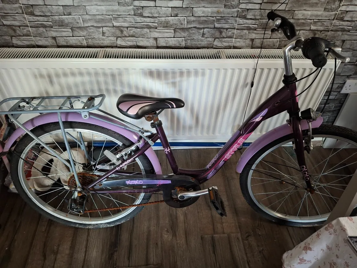 24inch Bike - Image 1