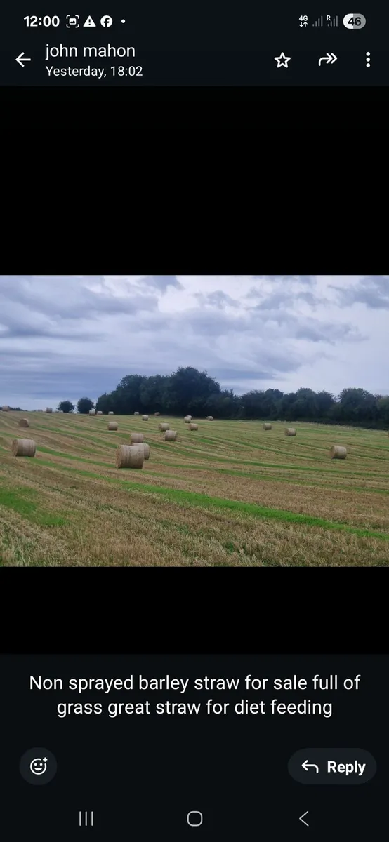 None sprayed barley straw forsale
