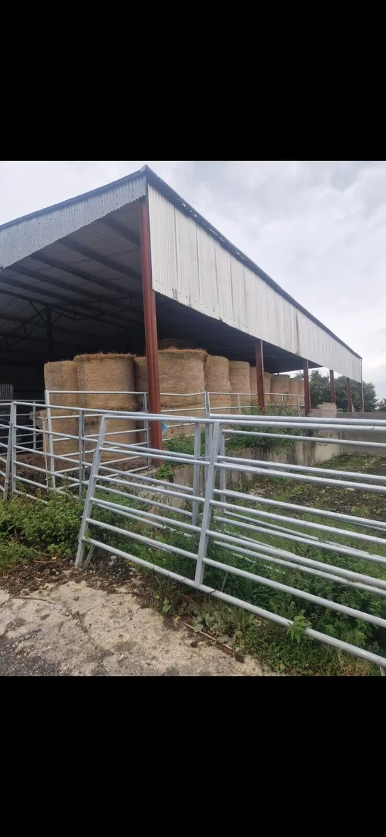 Organic hay for sale super hay
