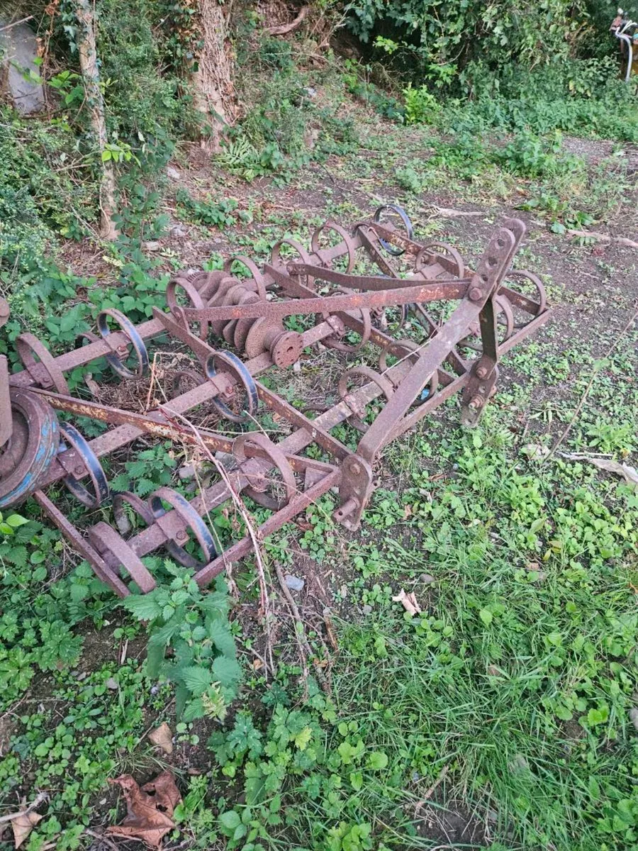 farm yard clear out - Image 3
